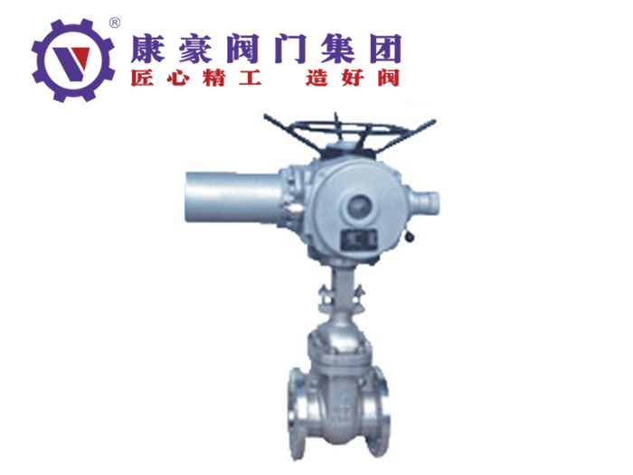 美標(biāo)不銹鋼電動閘閥